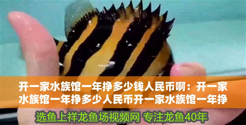 開(kāi)一家水族館一年掙多少錢(qián)人民幣?。洪_(kāi)一家水族館一年掙多少人民幣開(kāi)一家水族館一年掙多少人民幣