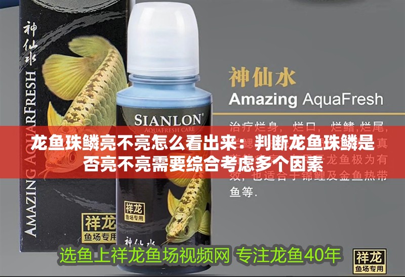 龍魚珠鱗亮不亮怎么看出來：判斷龍魚珠鱗是否亮不亮需要綜合考慮多個因素