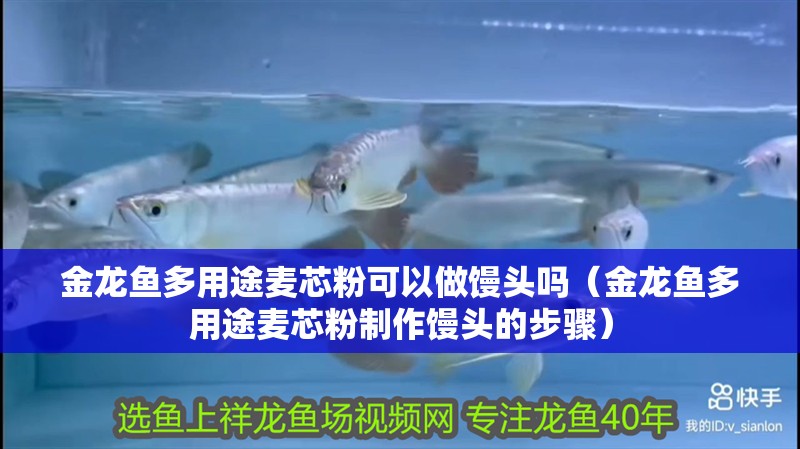 金龍魚多用途麥芯粉可以做饅頭嗎（金龍魚多用途麥芯粉制作饅頭的步驟）