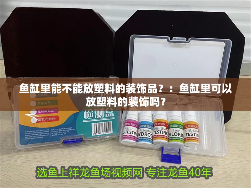 魚(yú)缸里能不能放塑料的裝飾品？：魚(yú)缸里可以放塑料的裝飾嗎？