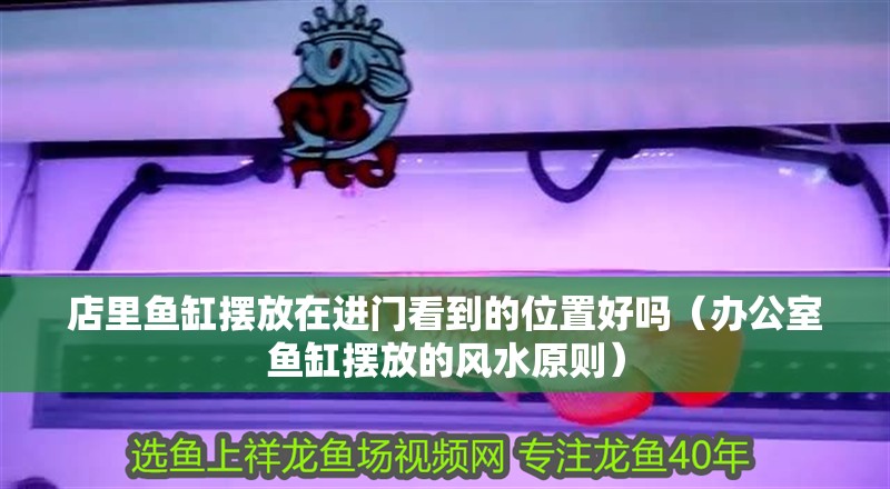 店里魚缸擺放在進門看到的位置好嗎（辦公室魚缸擺放的風水原則）