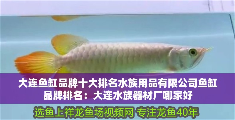 大連魚缸品牌十大排名水族用品有限公司魚缸品牌排名：大連水族器材廠哪家好