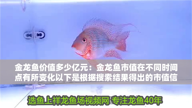 金龍魚價值多少億元：金龍魚市值在不同時間點(diǎn)有所變化以下是根據(jù)搜索結(jié)果得出的市值信息 金龍魚價值多少億元：金龍魚市值在不同時間點(diǎn)有所變化以下是根據(jù)搜索結(jié)果得出的市值信息 龍魚百科