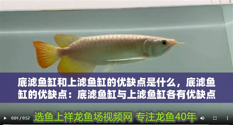 底濾魚缸和上濾魚缸的優缺點是什么，底濾魚缸的優缺點：底濾魚缸與上濾魚缸各有優缺點 底濾魚缸和上濾魚缸的優缺點是什么，底濾魚缸的優缺點：底濾魚缸與上濾魚缸各有優缺點 魚缸百科