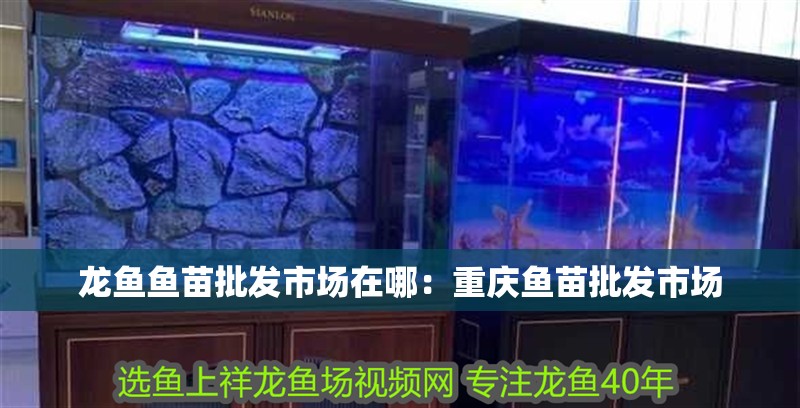 龍魚魚苗批發市場在哪：重慶魚苗批發市場