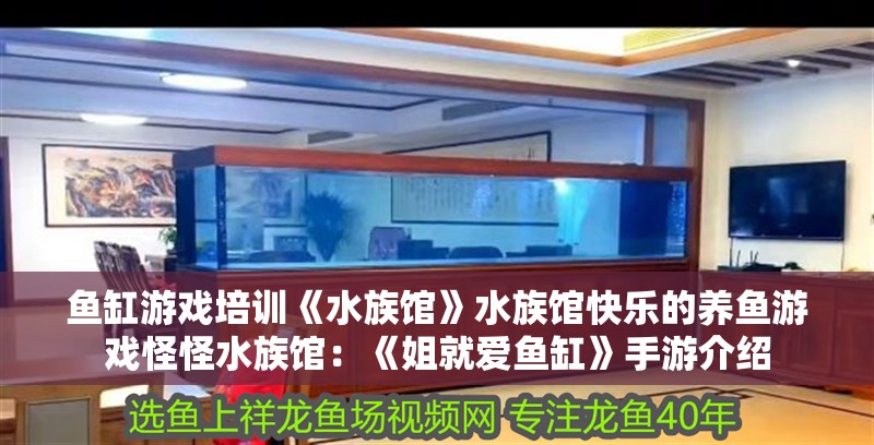 魚缸游戲培訓(xùn)《水族館》水族館快樂的養(yǎng)魚游戲怪怪水族館：《姐就愛魚缸》手游介紹