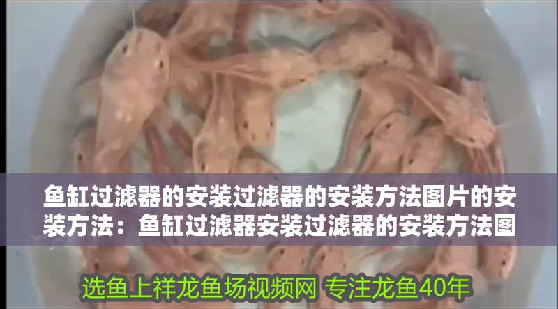 魚缸過濾器的安裝過濾器的安裝方法圖片的安裝方法：魚缸過濾器安裝過濾器的安裝方法圖片的安裝方法圖片