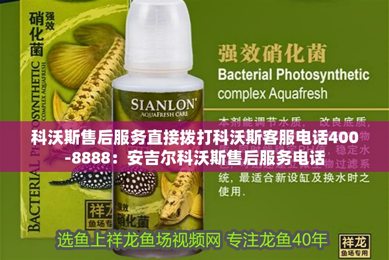 印尼虎魚多少溫度飼養(yǎng)最好:印尼虎魚多少溫度飼養(yǎng)最好印尼虎魚多少溫度飼養(yǎng)最好 科沃斯售后服務(wù)直接撥打科沃斯客服電話400-8888:安吉爾科沃斯售后服務(wù)電話 魚缸百科 科沃斯售后服務(wù)直接撥打科沃斯客服電話400-8888:安吉爾科沃斯售后服務(wù)電話 科沃斯售后服務(wù)直接撥打科沃斯客服電話400-8888:安吉爾科沃斯售后服務(wù)電話 魚缸百科