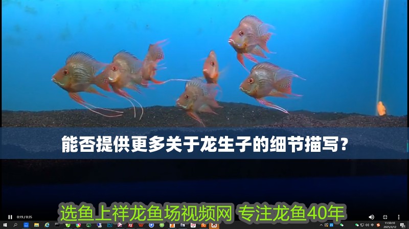 我的虎魚真菌感染了要怎么處理 能否提供更多關于龍生子的細節描寫? 龍魚論壇 能否提供更多關于龍生子的細節描寫? 能否提供更多關于龍生子的細節描寫? 龍魚論壇