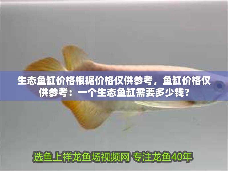 生態(tài)魚缸價(jià)格根據(jù)價(jià)格僅供參考，魚缸價(jià)格僅供參考：一個(gè)生態(tài)魚缸需要多少錢？