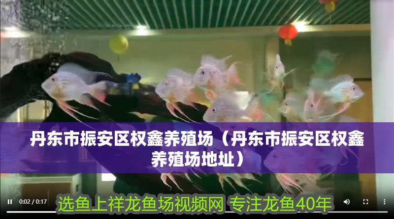 丹東市振安區權鑫養殖場（丹東市振安區權鑫養殖場地址）