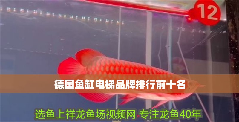 德國魚缸電梯品牌排行前十名