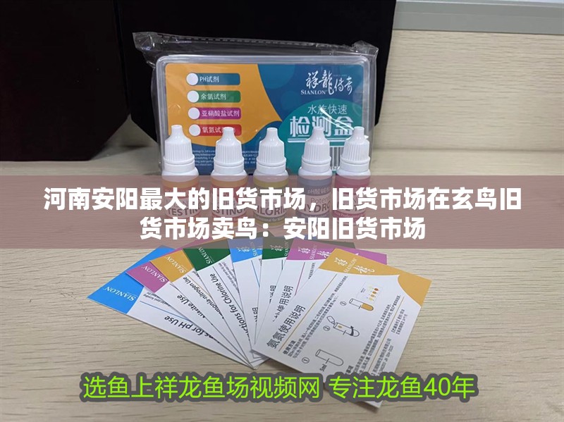 河<strong><mark>南安</mark></strong>陽(yáng)最大的舊貨市場(chǎng)，舊貨市場(chǎng)在玄鳥(niǎo)舊貨市場(chǎng)賣(mài)鳥(niǎo)：安陽(yáng)舊貨市場(chǎng)