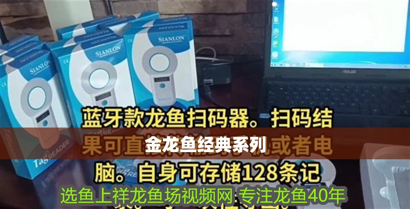 金龍魚經(jīng)典系列