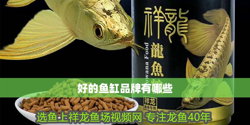 好的魚缸品牌有哪些 好的魚缸品牌有哪些 魚缸百科
