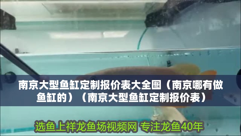 南京大型魚缸定制報價表大全圖（南京哪有做魚缸的）（南京大型魚缸定制報價表） 南京大型魚缸定制報價表大全圖（南京哪有做魚缸的）（南京大型魚缸定制報價表） 魚缸百科