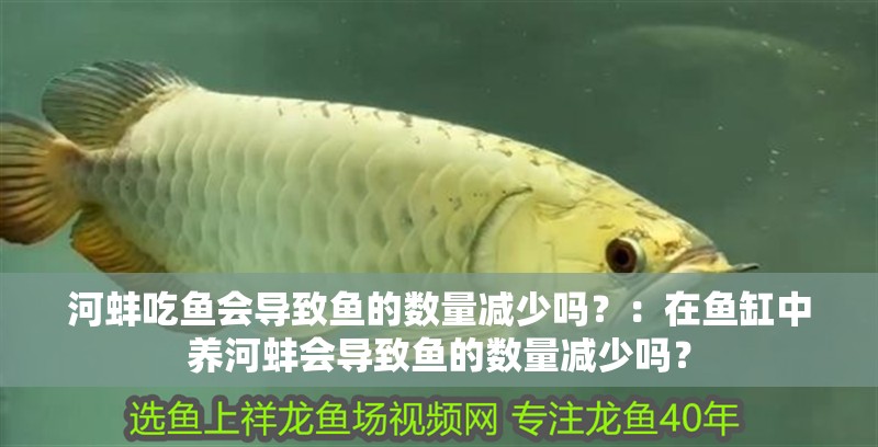 河蚌吃魚會導致魚的數量減少嗎？：在魚缸中養河蚌會導致魚的數量減少嗎？ 河蚌吃魚會導致魚的數量減少嗎？：在魚缸中養河蚌會導致魚的數量減少嗎？ 魚缸百科