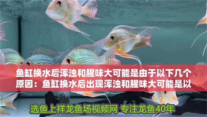 魚缸換水后渾濁和腥味大可能是由于以下幾個原因：魚缸換水后出現渾濁和腥味大可能是以下幾個原因 魚缸換水后渾濁和腥味大可能是由于以下幾個原因：魚缸換水后出現渾濁和腥味大可能是以下幾個原因 魚缸百科