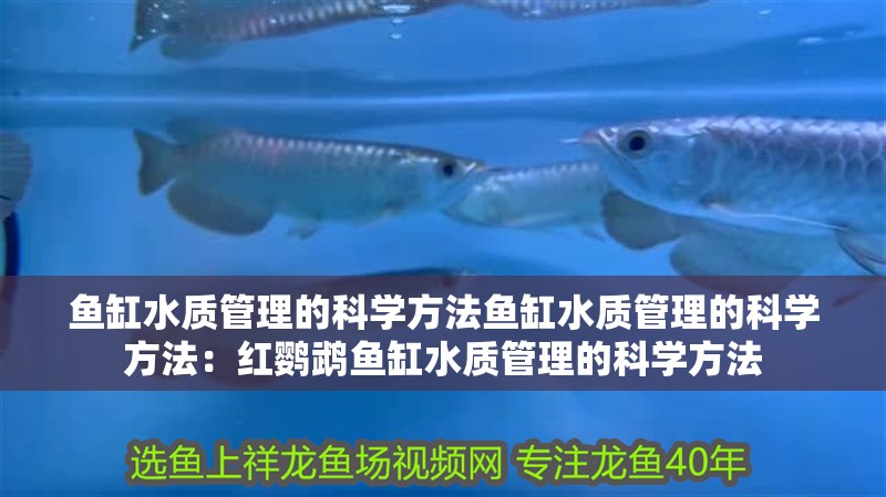 魚缸水質管理的科學方法魚缸水質管理的科學方法：紅鸚鵡魚缸水質管理的科學方法