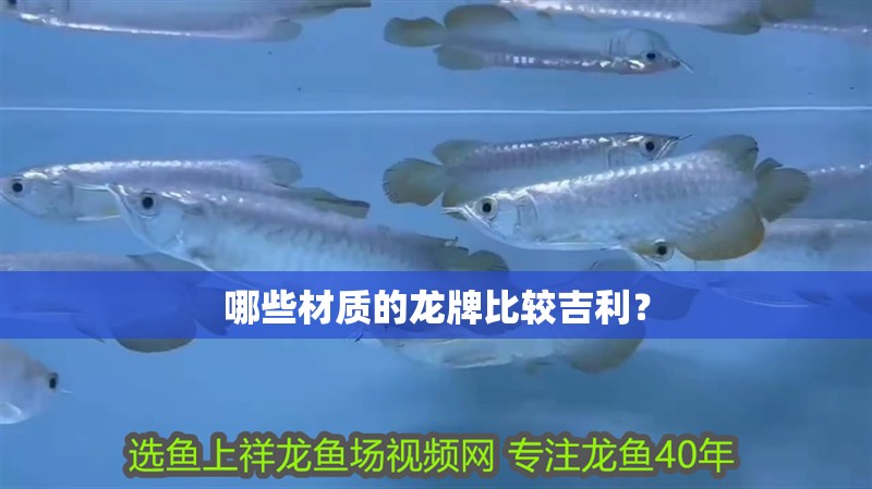 哪些材質的龍牌比較吉利？