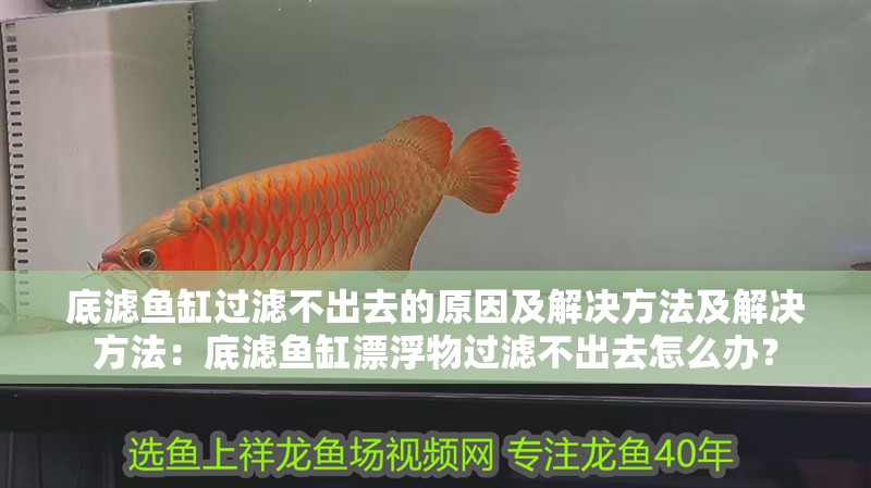 底濾魚缸過濾不出去的原因及解決方法及解決方法：底濾魚缸漂浮物過濾不出去怎么辦？ 底濾魚缸過濾不出去的原因及解決方法及解決方法：底濾魚缸漂浮物過濾不出去怎么辦？ 魚缸百科