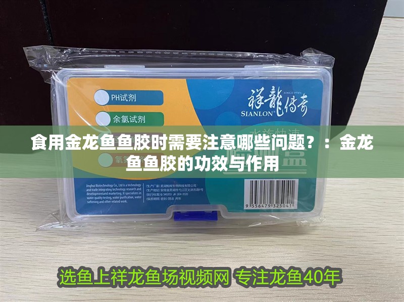 食用金龍魚魚膠時需要注意哪些問題？：金龍魚魚膠的功效與作用