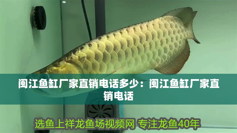 閩江魚缸廠家直銷電話多少：閩江魚缸廠家直銷電話
