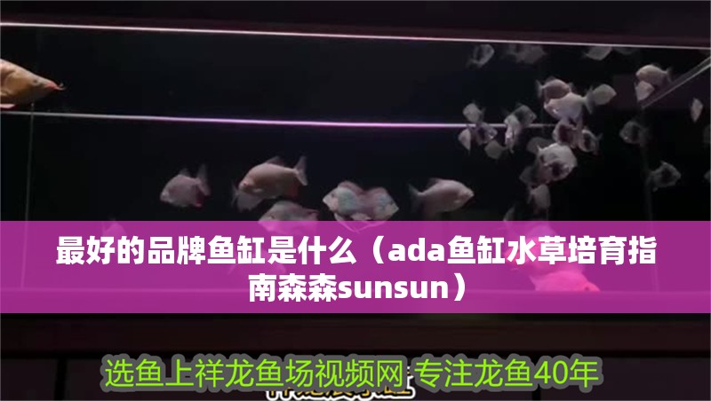 最好的品牌魚缸是什么（ada魚缸水草培育指南森森sunsun） 最好的品牌魚缸是什么（ada魚缸水草培育指南森森sunsun） 魚缸百科