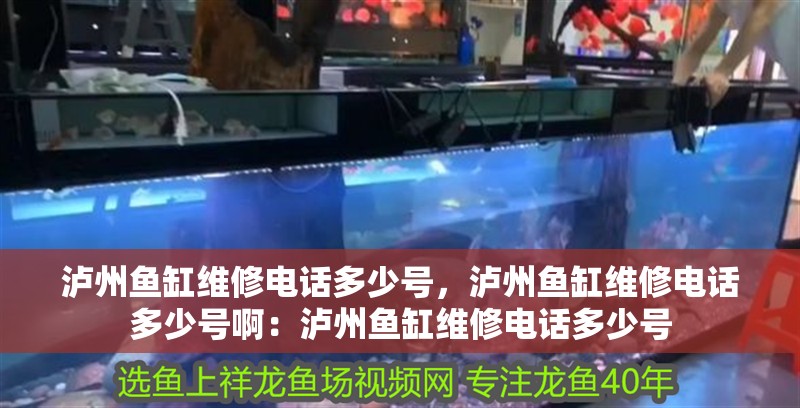瀘州魚缸維修電話多少號，瀘州魚缸維修電話多少號啊：瀘州魚缸維修電話多少號