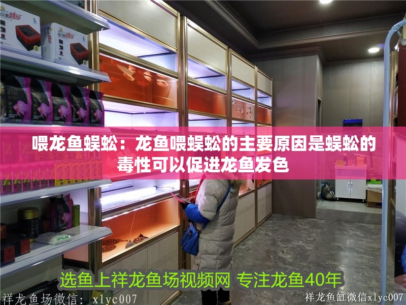 喂龍魚蜈蚣：龍魚喂蜈蚣的主要原因是蜈蚣的毒性可以促進(jìn)龍魚發(fā)色