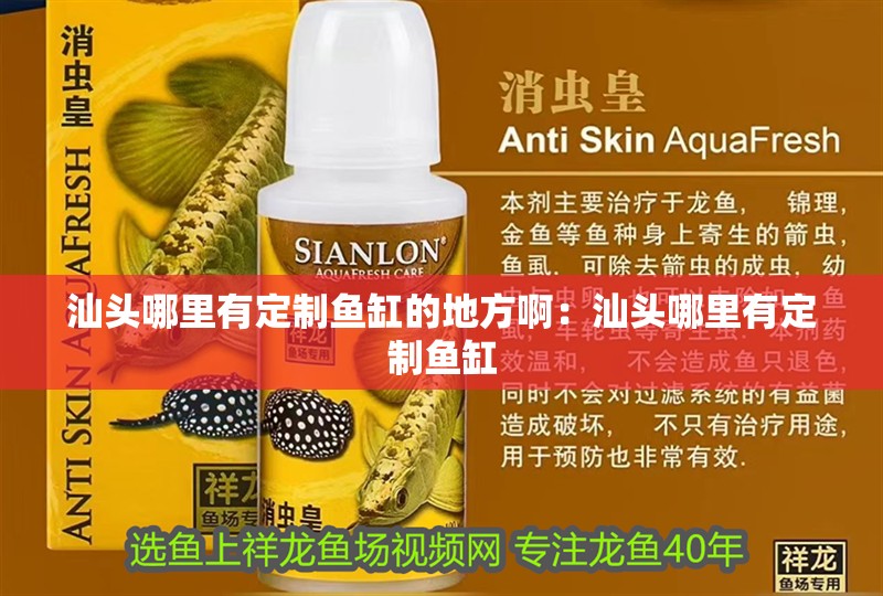 汕頭哪里有定制魚缸的地方?。荷穷^哪里有定制魚缸