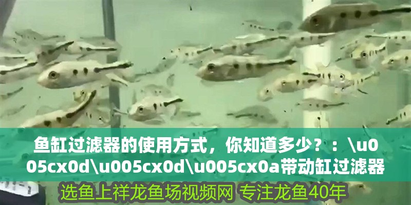 魚缸過濾器的使用方式，你知道多少？：\u005cx0d\u005cx0d\u005cx0a帶動缸過濾器 魚缸過濾器的使用方式，你知道多少？：\u005cx0d\u005cx0d\u005cx0a帶動缸過濾器 魚缸百科