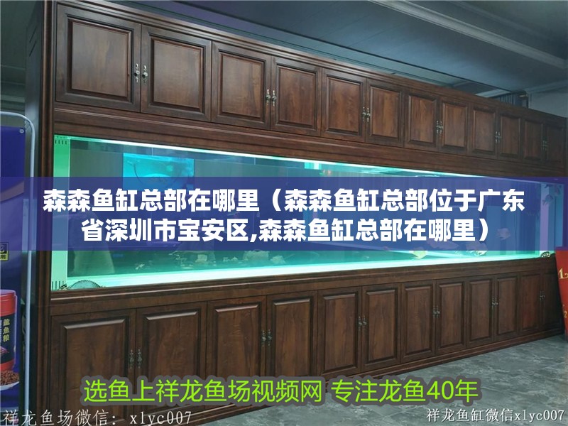 森森魚缸總部在哪里（森森魚缸總部位于廣東省深圳市寶安區(qū),森森魚缸總部在哪里）