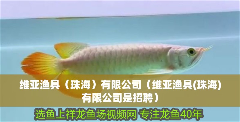 給大魚缸換水的作文:體驗給大魚缸換水的樂趣:體驗給大魚缸換水:給大魚缸換水的作文 維亞漁具(珠海)有限公司(維亞漁具(珠海)有限公司是招聘) 全國水族館企業名錄 維亞漁具(珠海)有限公司(維亞漁具(珠海)有限公司是招聘) 維亞漁具(珠海)有限公司(維亞漁具(珠海)有限公司是招聘) 全國水族館企業名錄