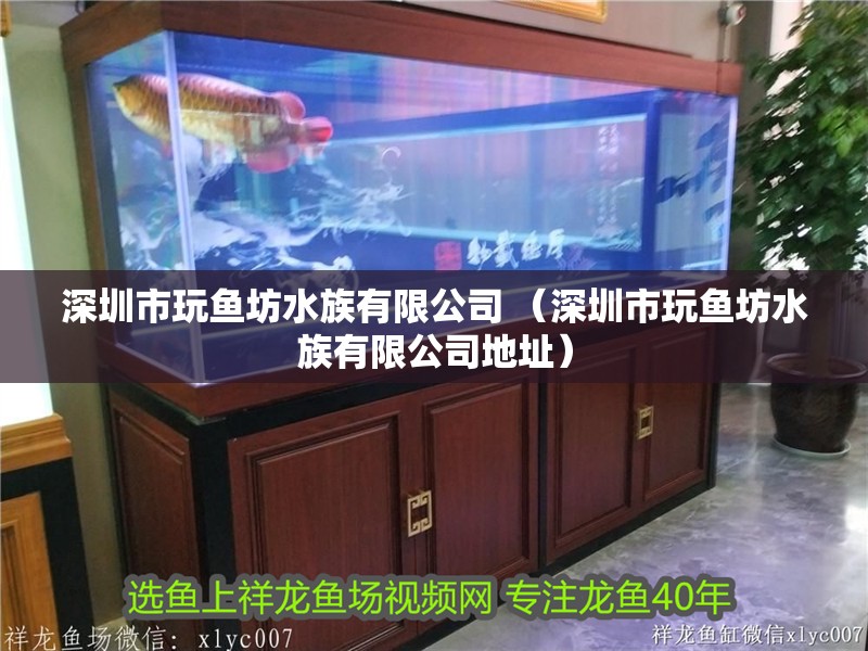 深圳市玩魚坊水族有限公司 （深圳市玩魚坊水族有限公司地址）