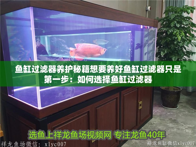 魚缸過濾器養護秘籍想要養好魚缸過濾器只是第一步：如何選擇魚缸過濾器