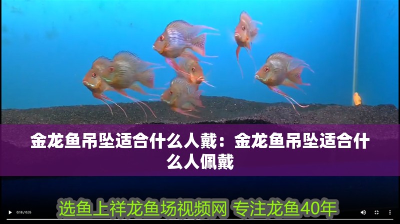 金龍魚(yú)吊墜適合什么人戴：金龍魚(yú)吊墜適合什么人佩戴