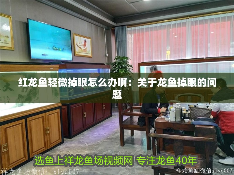 紅龍魚輕微掉眼怎么辦啊：關于龍魚掉眼的問題