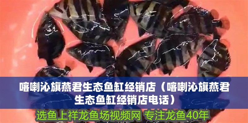 喀喇沁旗燕君生態魚缸經銷店（喀喇沁旗燕君生態魚缸經銷店電話）