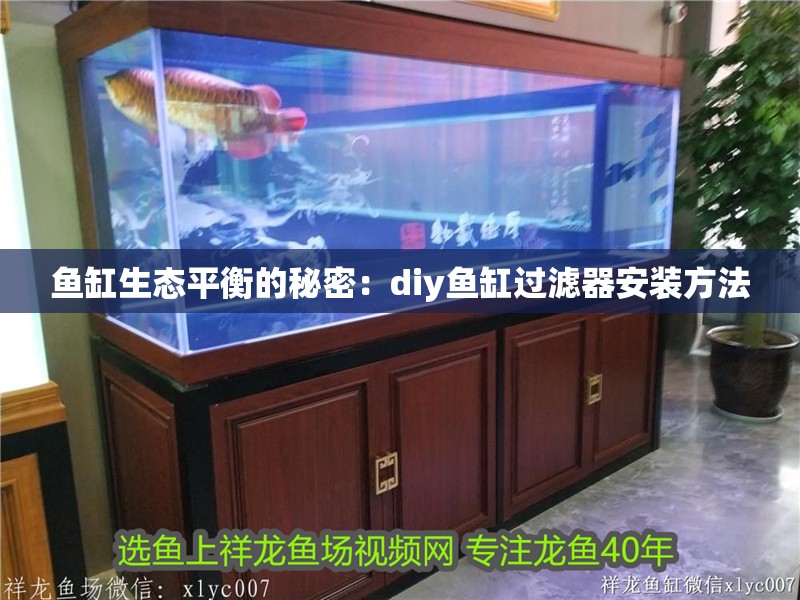 魚缸生態平衡的秘密：diy魚缸過濾器安裝方法