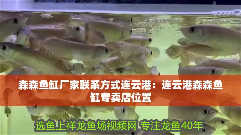 森森魚缸廠家聯系方式連云港：連云港森森魚缸專賣店位置