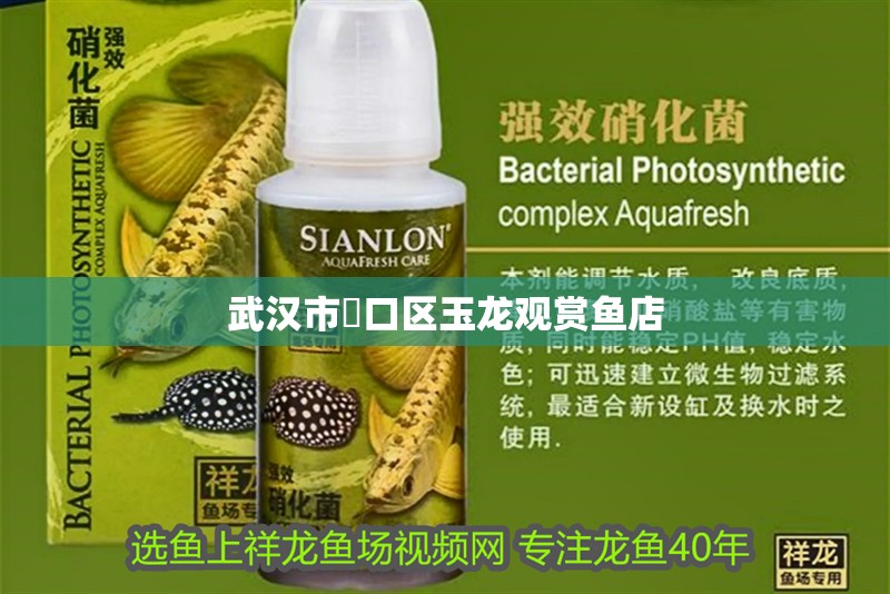 武漢市硚口區玉龍觀賞魚店