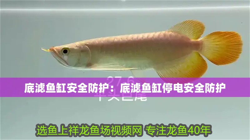 底濾魚缸安全防護：底濾魚缸停電安全防護