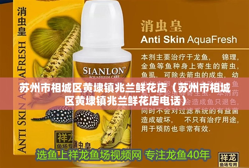 魚缸用增氧泵價格是多少:魚缸增氧機-xtrac增氧機-xtrac增氧機 蘇州市相城區黃埭鎮兆蘭鮮花店(蘇州市相城區黃埭鎮兆蘭鮮花店電話) 全國水族館企業名錄 蘇州市相城區黃埭鎮兆蘭鮮花店(蘇州市相城區黃埭鎮兆蘭鮮花店電話) 蘇州市相城區黃埭鎮兆蘭鮮花店(蘇州市相城區黃埭鎮兆蘭鮮花店電話) 全國水族館企業名錄