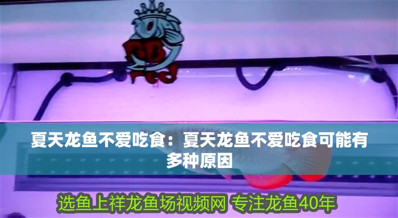 夏天龍魚不愛吃食：夏天龍魚不愛吃食可能有多種原因 夏天龍魚不愛吃食：夏天龍魚不愛吃食可能有多種原因 龍魚百科