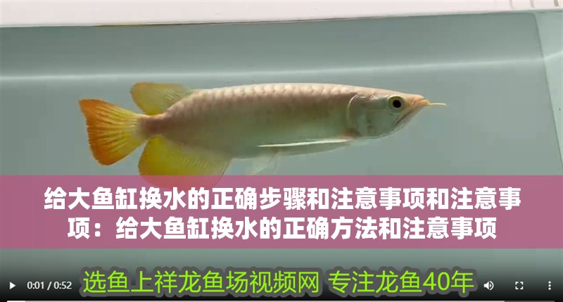 給大魚缸換水的正確步驟和注意事項和注意事項：給大魚缸換水的正確方法和注意事項