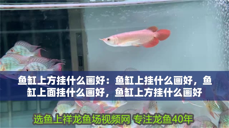 魚缸上方掛什么畫好：魚缸上掛什么畫好，魚缸上面掛什么畫好，魚缸上方掛什么畫好