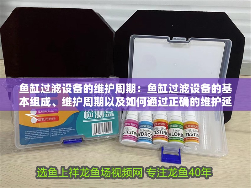 魚缸過濾設(shè)備的維護(hù)周期：魚缸過濾設(shè)備的基本組成、維護(hù)周期以及如何通過正確的維護(hù)延長(zhǎng)壽命