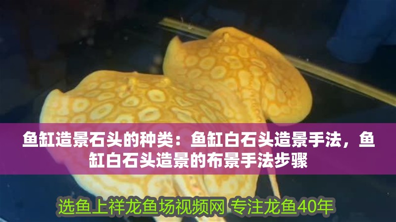 魚缸造景石頭的種類：魚缸白石頭造景手法，魚缸白石頭造景的布景手法步驟 魚缸造景石頭的種類：魚缸白石頭造景手法，魚缸白石頭造景的布景手法步驟 魚缸百科