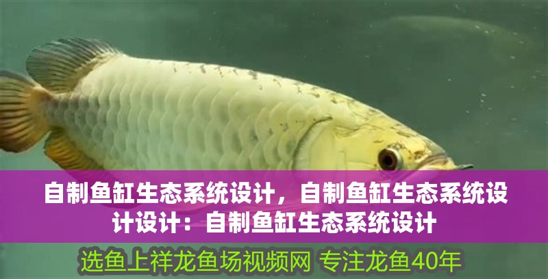 自制魚缸生態系統設計，自制魚缸生態系統設計設計：自制魚缸生態系統設計